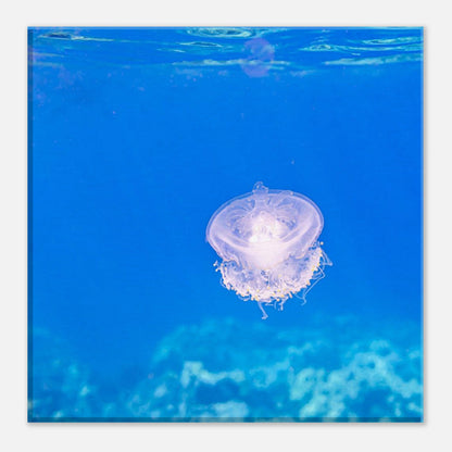 849357a7-cec1-405d-8dbb-92536ca4bfc1