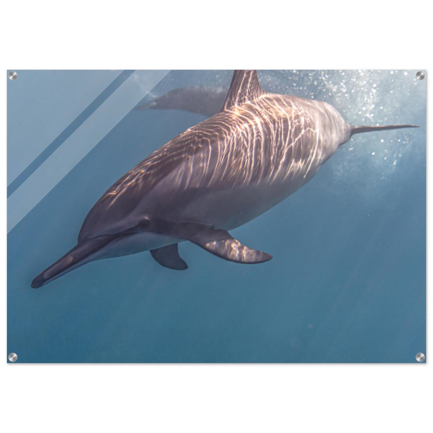 85d160c2-6a4e-4bec-966e-5a6bf0fe6608