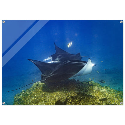 88888347-ce5e-4662-ae74-8d491c149c6f