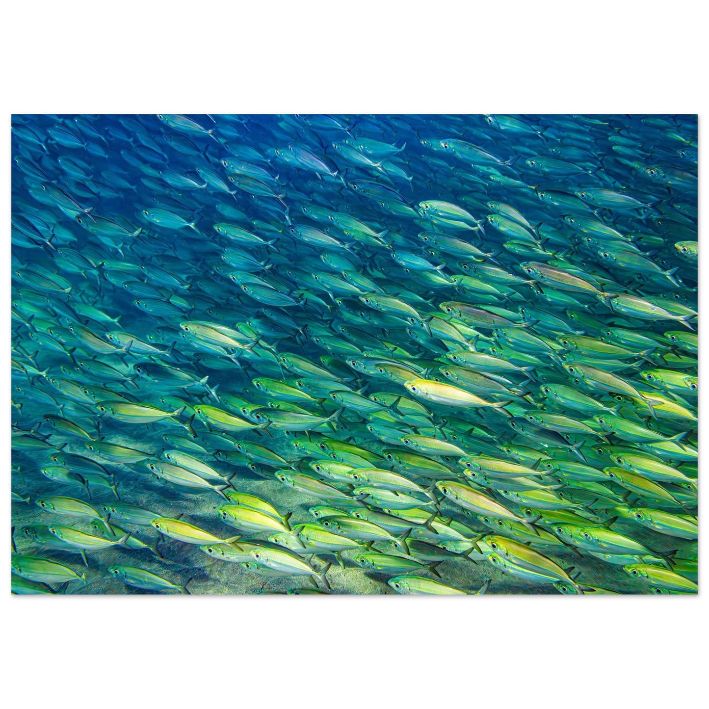 8ae86042-4dd6-447d-b2c6-0f37647223f6