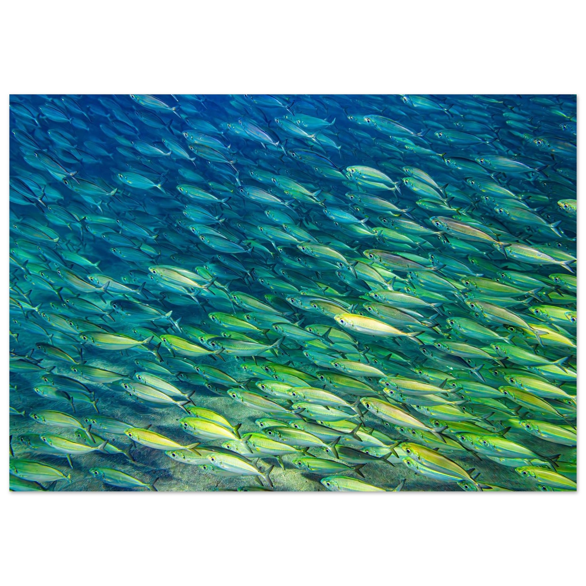 8ae86042-4dd6-447d-b2c6-0f37647223f6