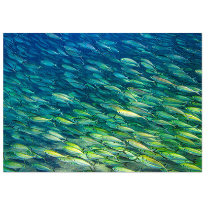 8ae86042-4dd6-447d-b2c6-0f37647223f6