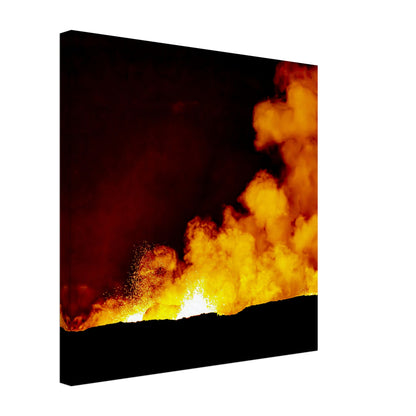 8c6c95c1-3d4b-4087-a38b-481d4919faa5