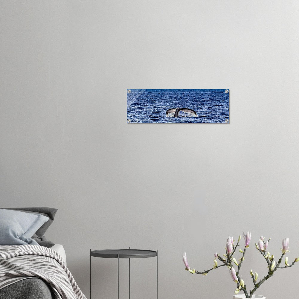 8c750ab5-03a1-4cf3-b777-0aa27e61397d