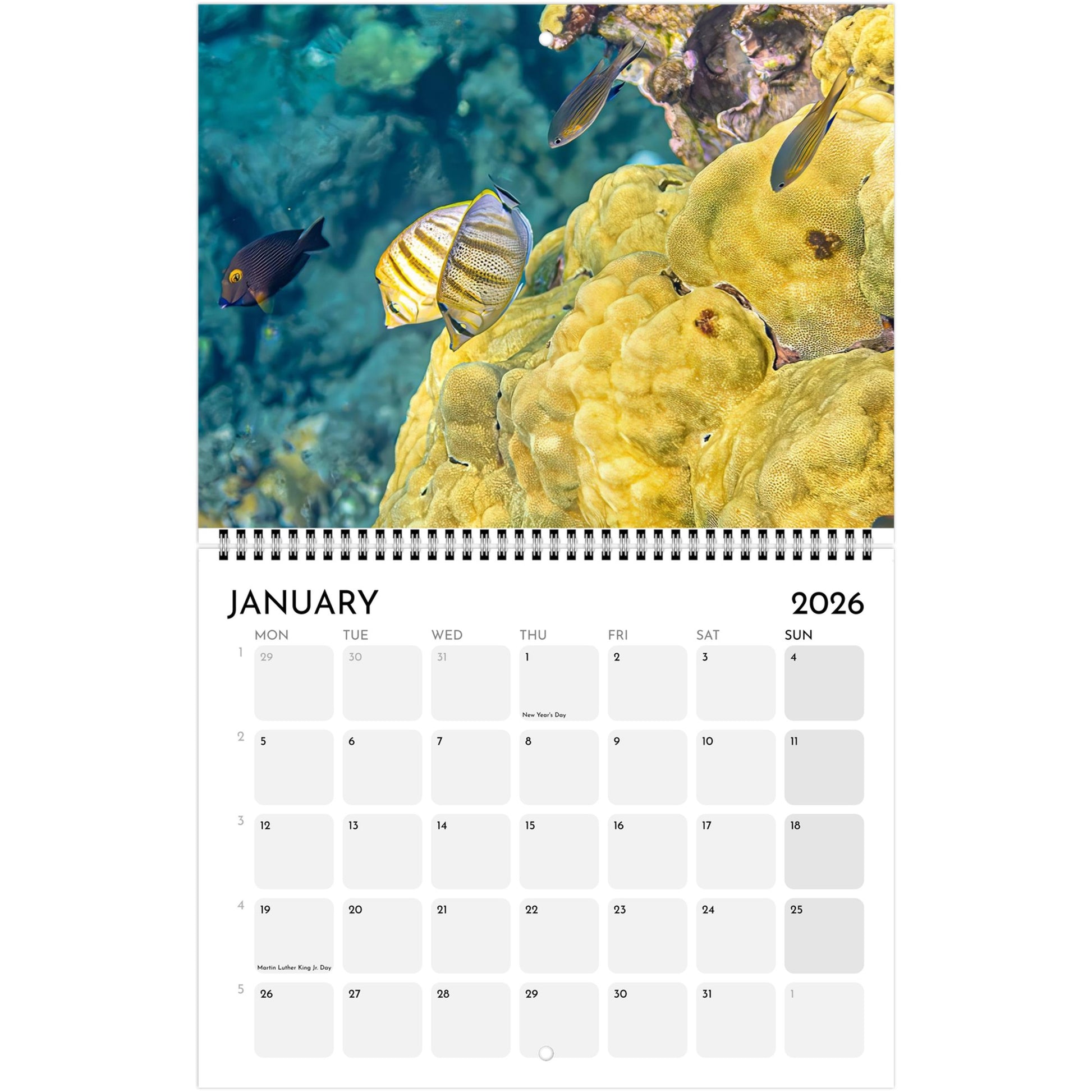 8dbedad3-12c5-49ce-b9c5-f2539b32afab