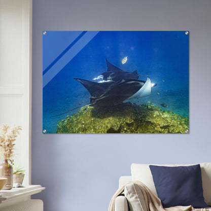 91b033d1-390c-4d12-b1af-fdf974f66236