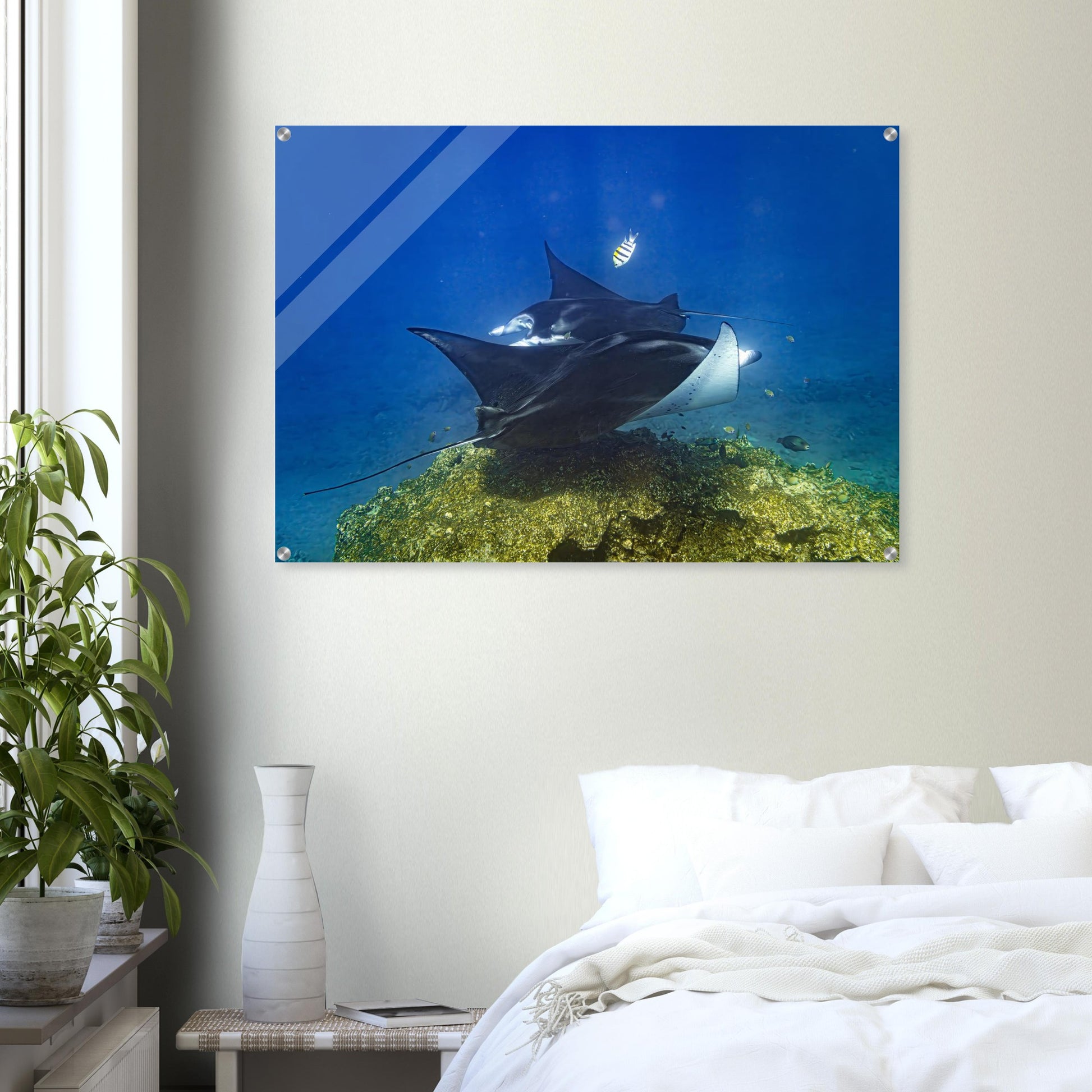 92fdb831-734a-48ce-a58f-3d97b656a3c8