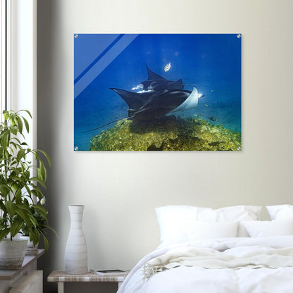 92fdb831-734a-48ce-a58f-3d97b656a3c8