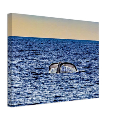 94ecae7a-5f42-49fb-9c35-af56b9d2ab74