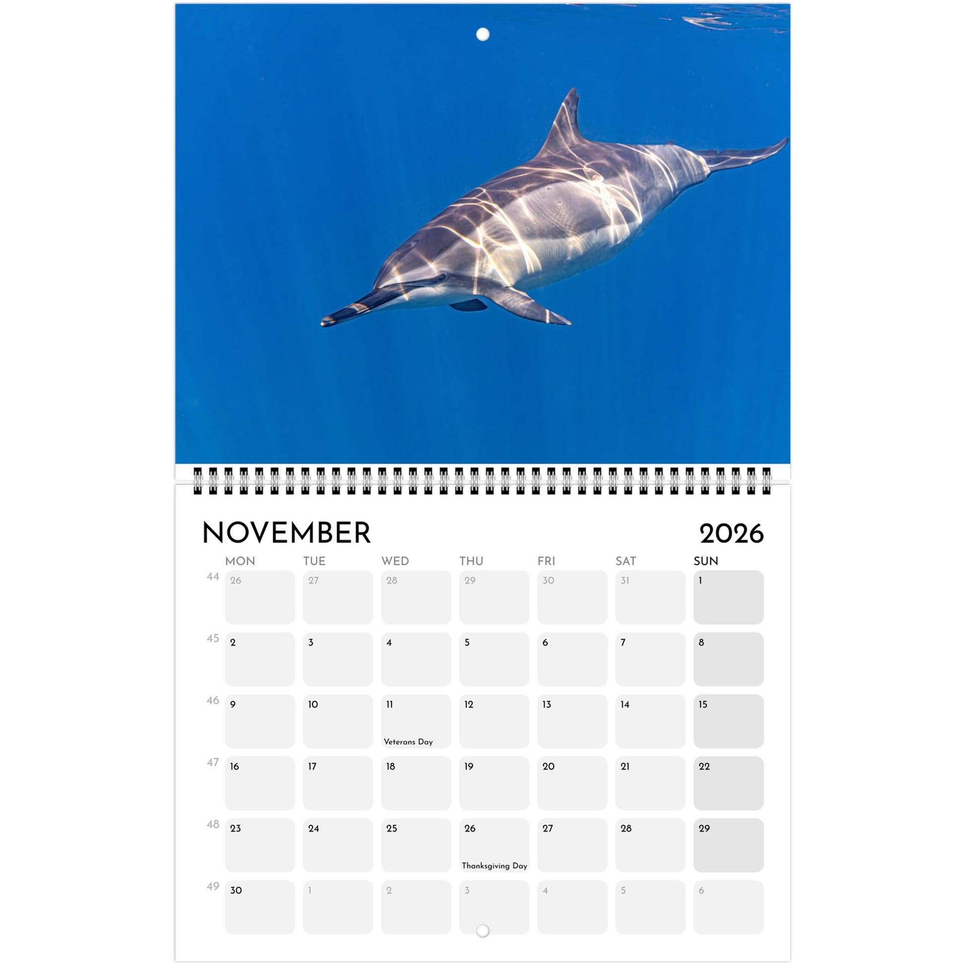 952b7a93-fd88-406d-a3b3-2a97838a50e2