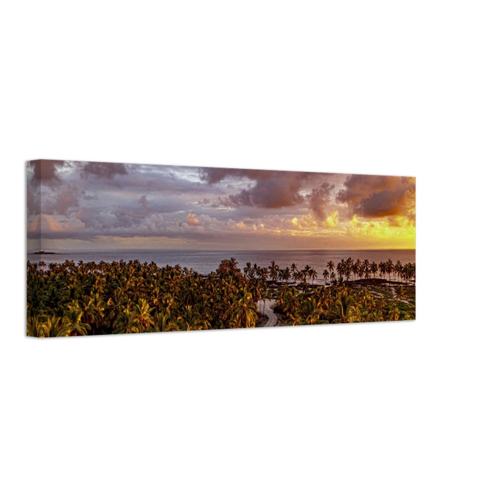 972dbec4-4122-40ff-b882-62237c761046