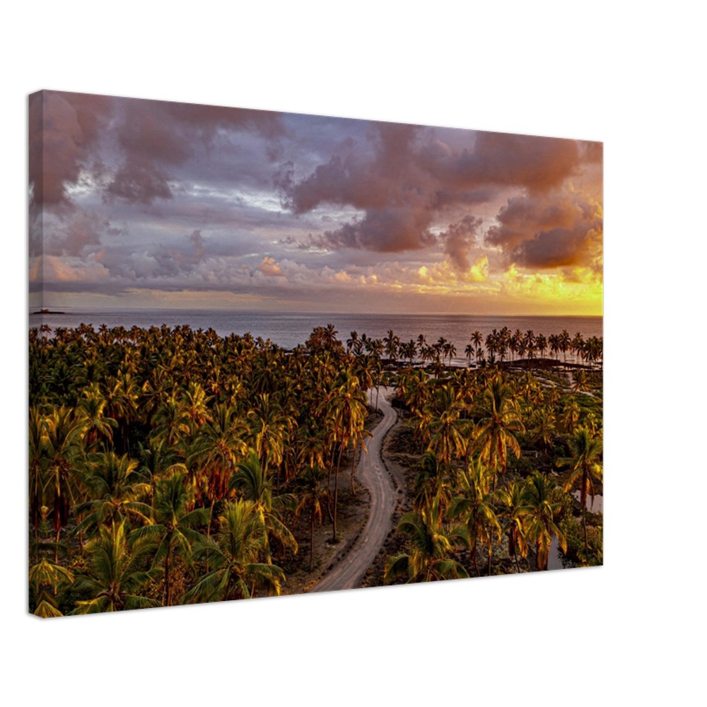 982b47b6-ed96-400a-944a-7be6e7784f6e