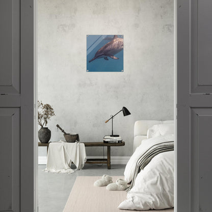 990b6409-bab1-430e-96d6-b52bbe18b83e