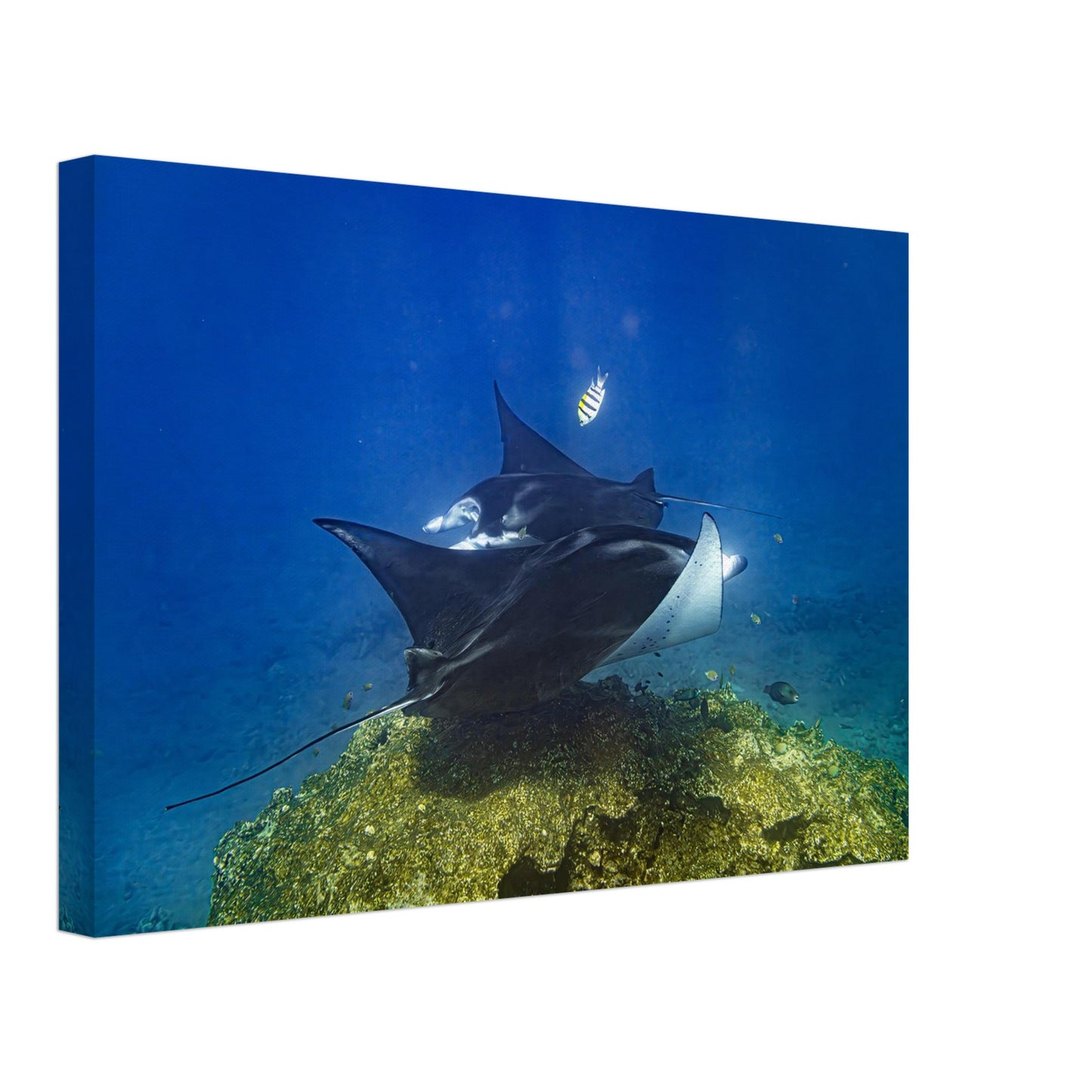 9b653b0a-cb6f-4d22-98b6-103bbea66946