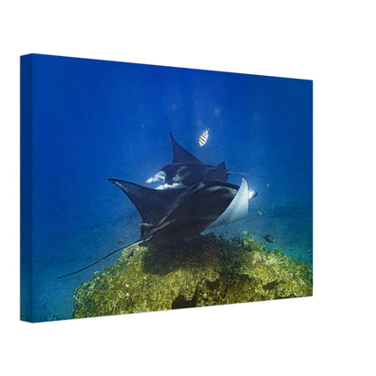 9b653b0a-cb6f-4d22-98b6-103bbea66946