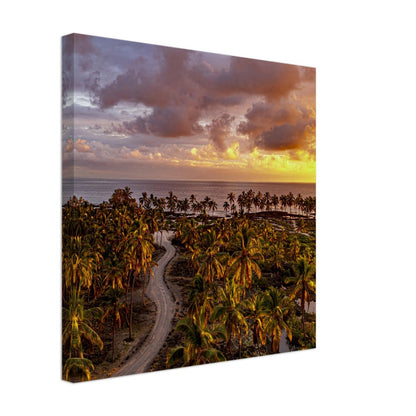 9bc8d5f6-92dc-4b10-b215-1b152312a003