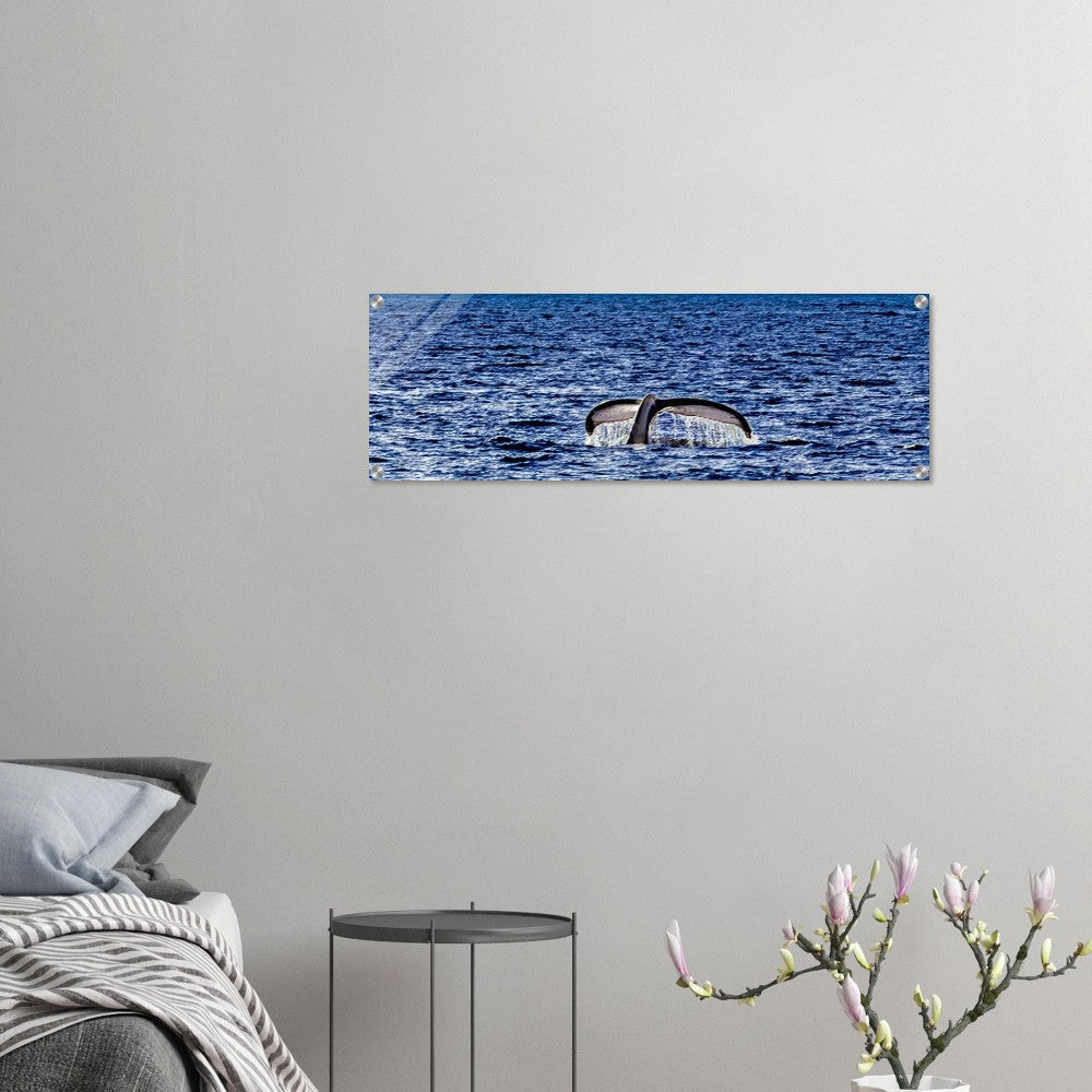 9d10574a-036e-4659-91d4-6c606f4cf35c