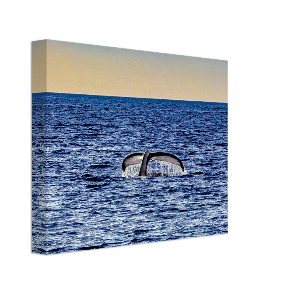 9d663cf5-a959-4ce8-a1ea-4a49d033d65a