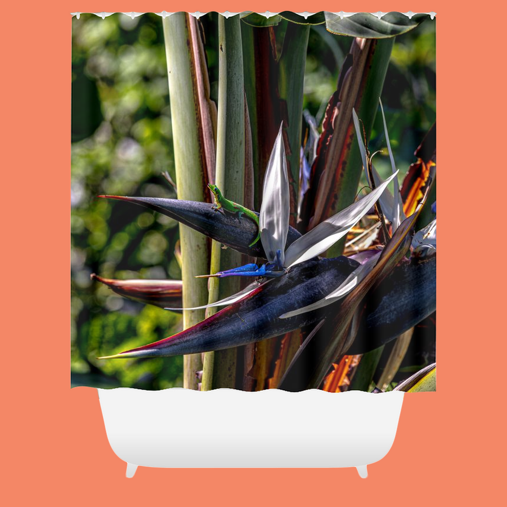 Gecko Smiling At The Sun On Bird Of Paradise Tree Shower Curtain