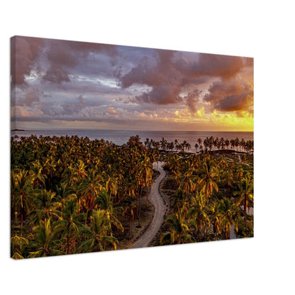 a2a1def7-3e19-44bf-9464-47efa589a3b5