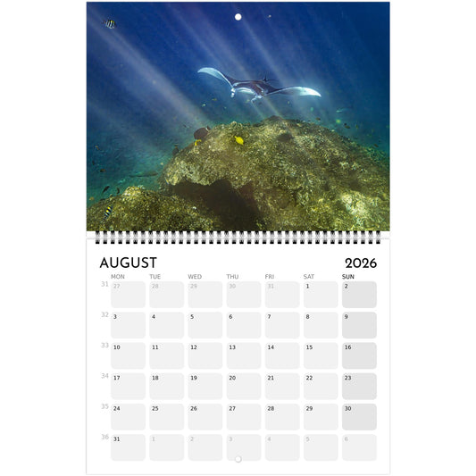 a2c78881-b427-4cb1-9153-a46361c814e7