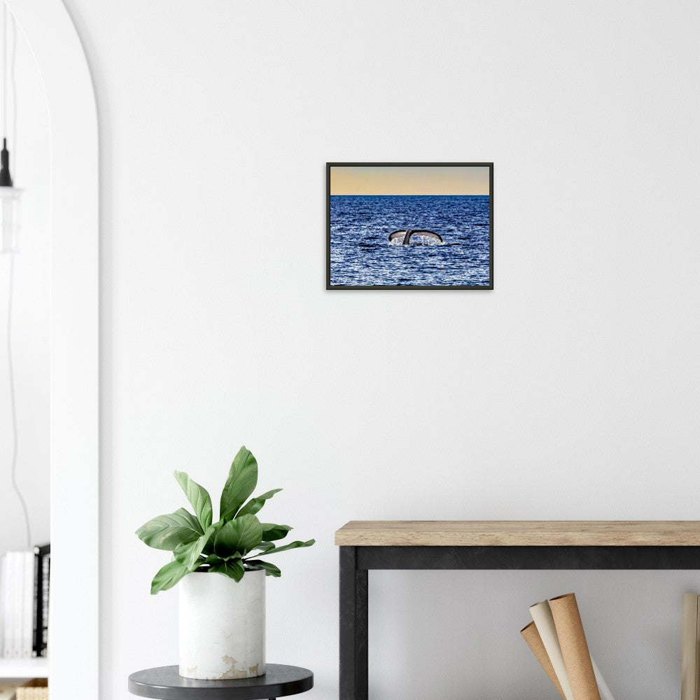 a33a4a71-70be-4a0d-a44c-891c3fa56c96