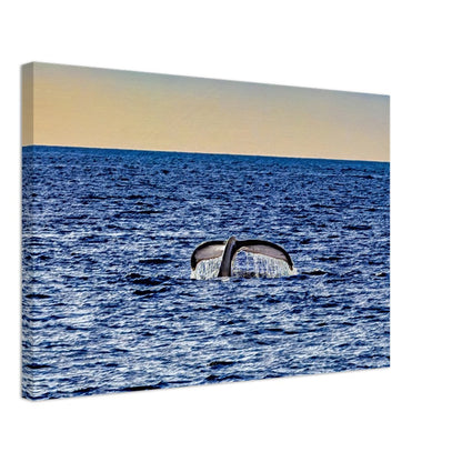 a517bc01-d817-427c-925b-b2a4a4ca59d2