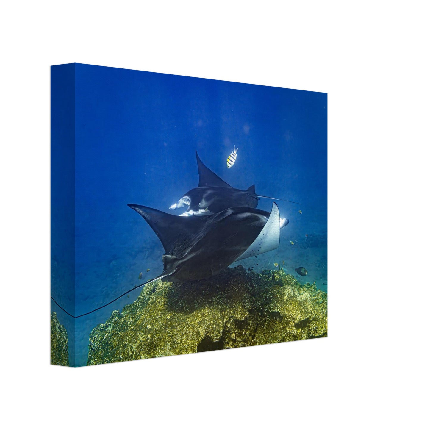 a5fb9d2a-b169-4dc2-9b40-13172a4767dd