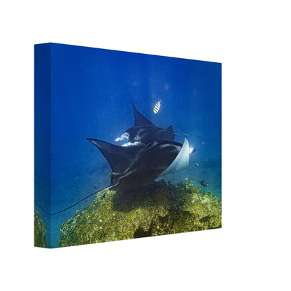 a5fb9d2a-b169-4dc2-9b40-13172a4767dd