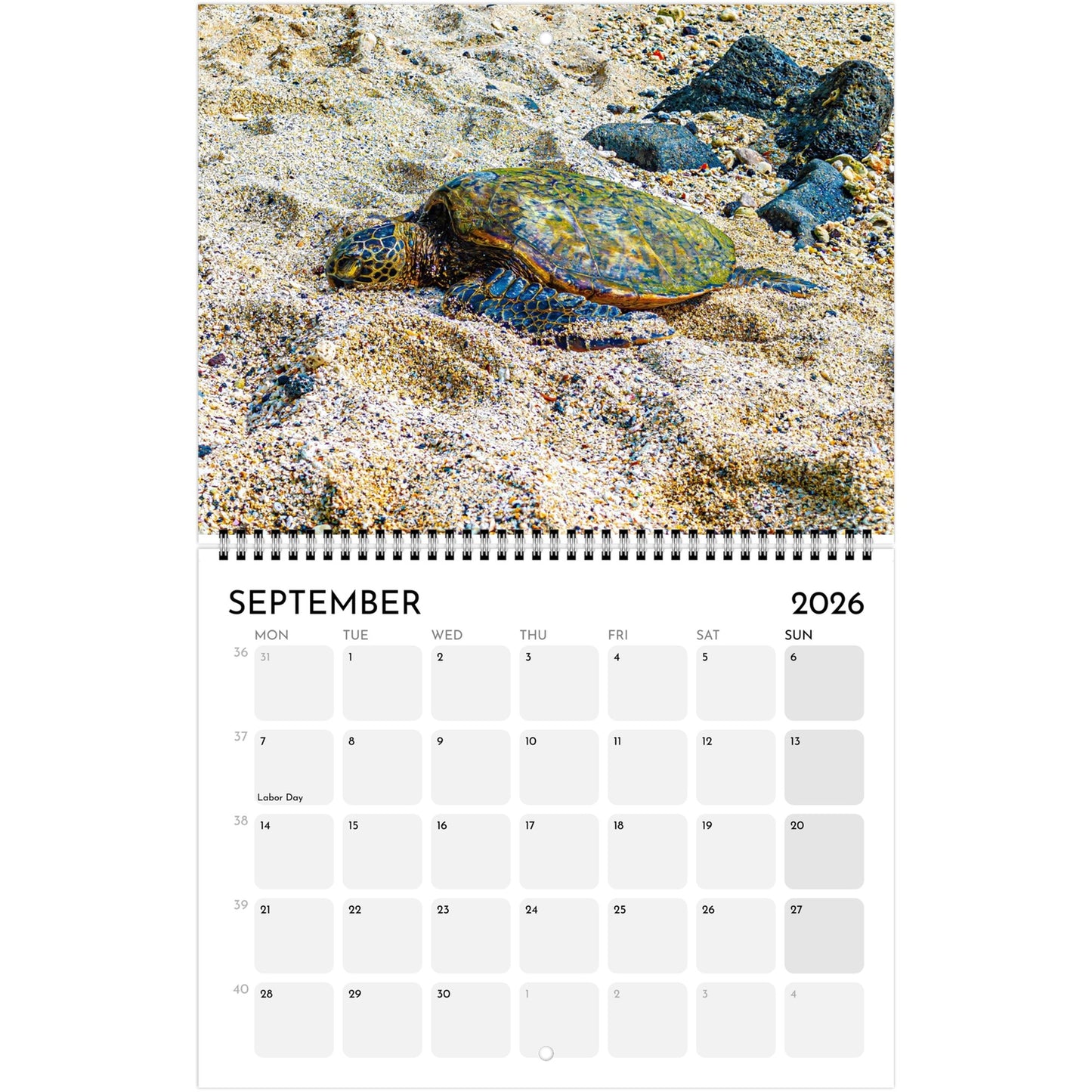 a6026e33-f311-44db-ab06-d3fca5c521db