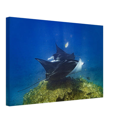 a6507e9d-1036-4223-ba8a-19e23e5df2db