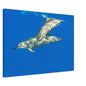 aabb52d6-738f-4170-ad0d-e592d75338fa