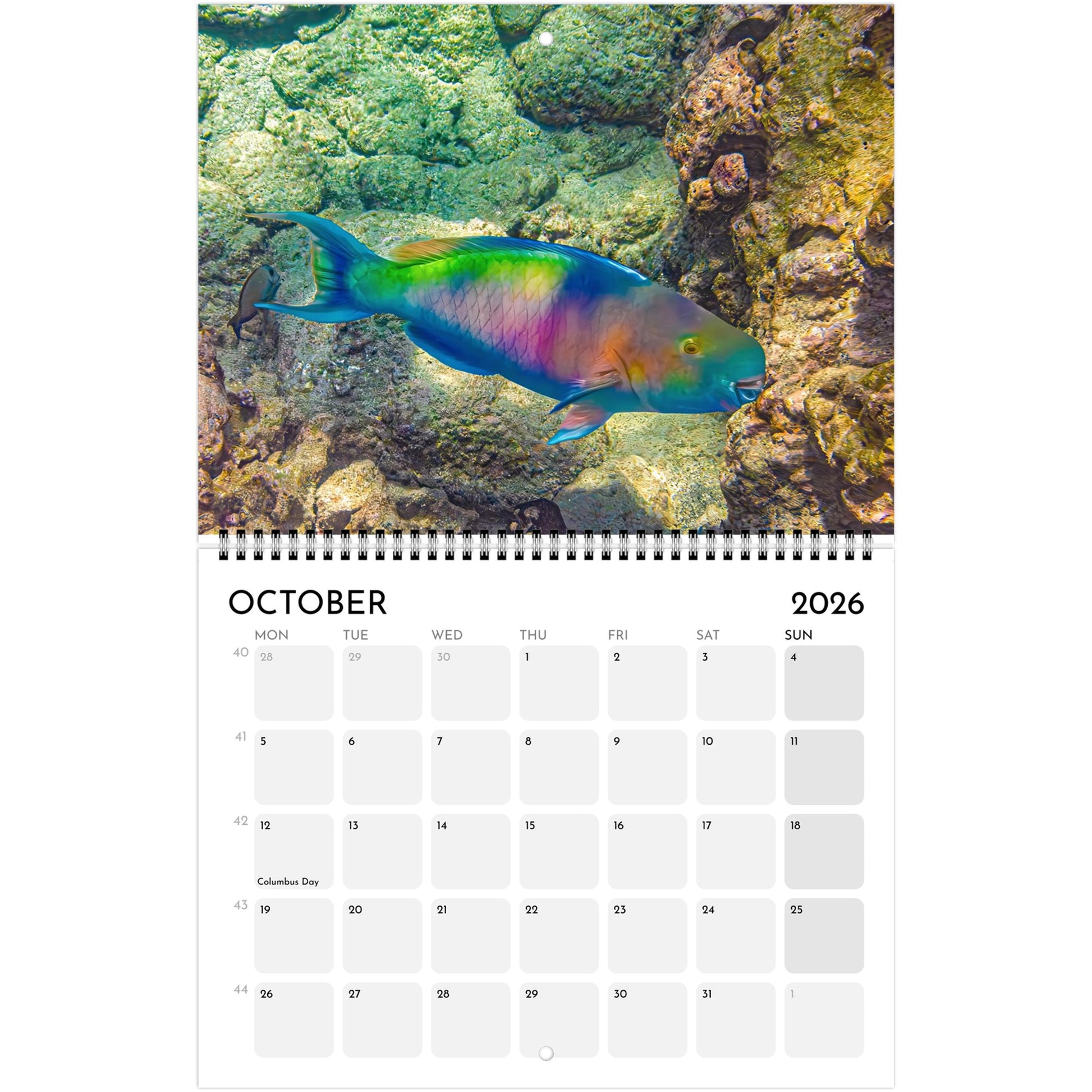 ad179a63-6081-4c2b-8025-57407fdd8ab9