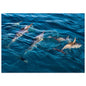 ad709755-890e-46f6-9df1-087f8bf08594