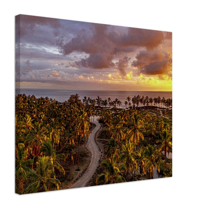 b11aae15-20d7-4df7-8274-d0d8ff5826fa