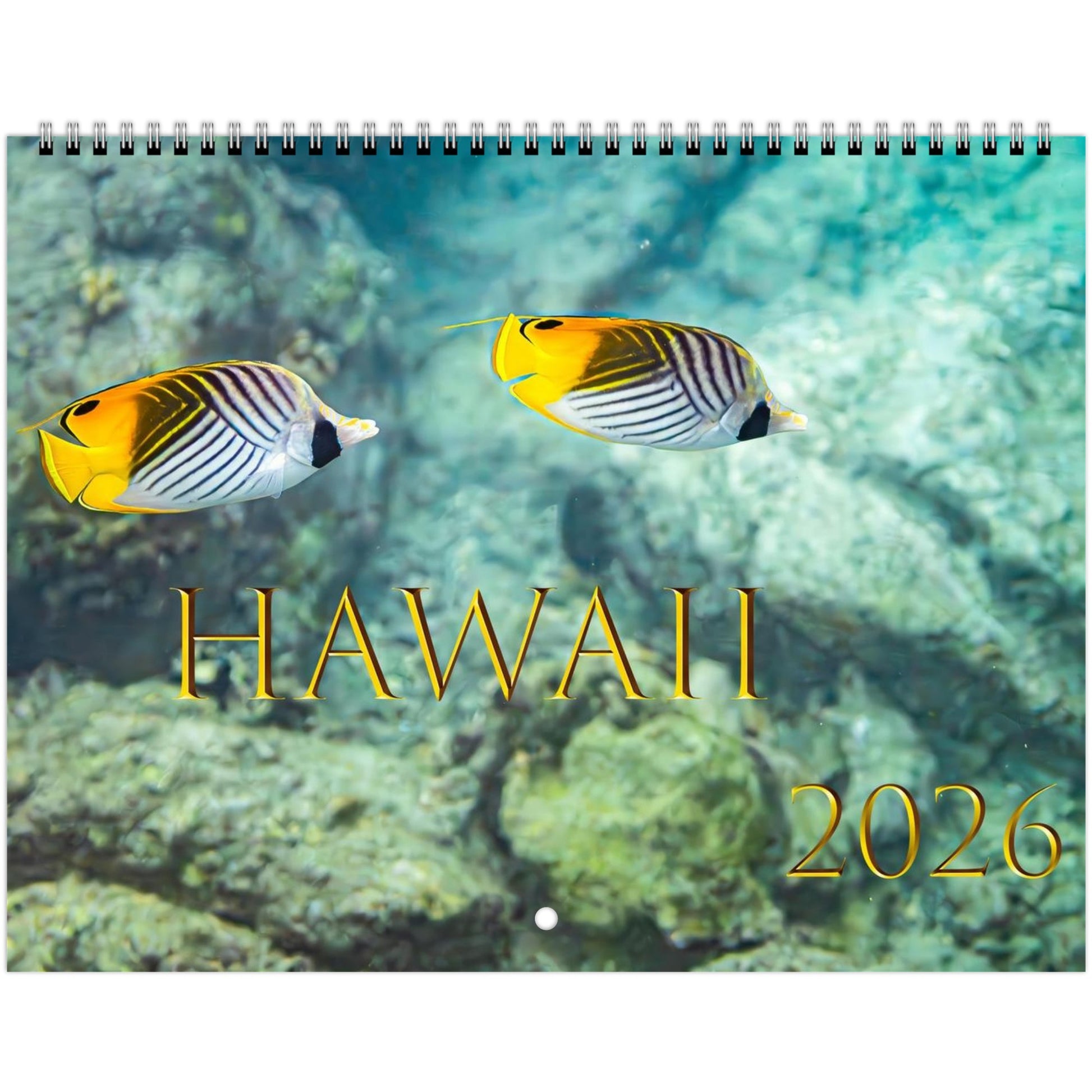 b3fc3e9b-6fe1-4f2d-a0f6-349ffb491de4