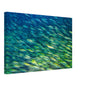 b5935760-72db-4015-b383-0e15683a9799