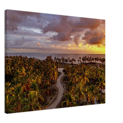 b6882587-ad22-41af-9c58-dc7d2e96e259