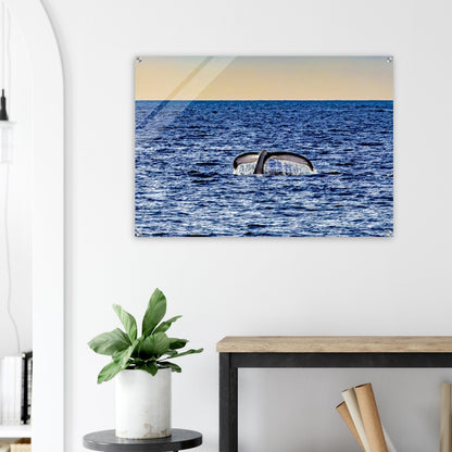 b720bd41-787f-4c2c-950c-270d521e8eb0