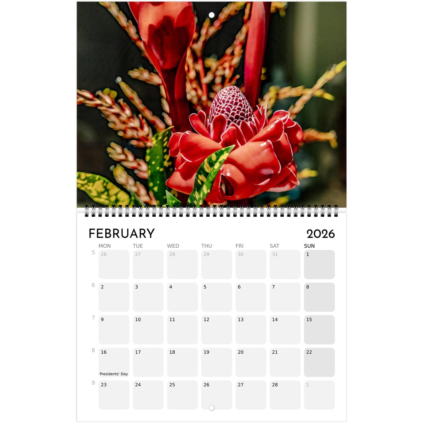 b7360a62-c3db-4f65-b597-0d560f2e670e