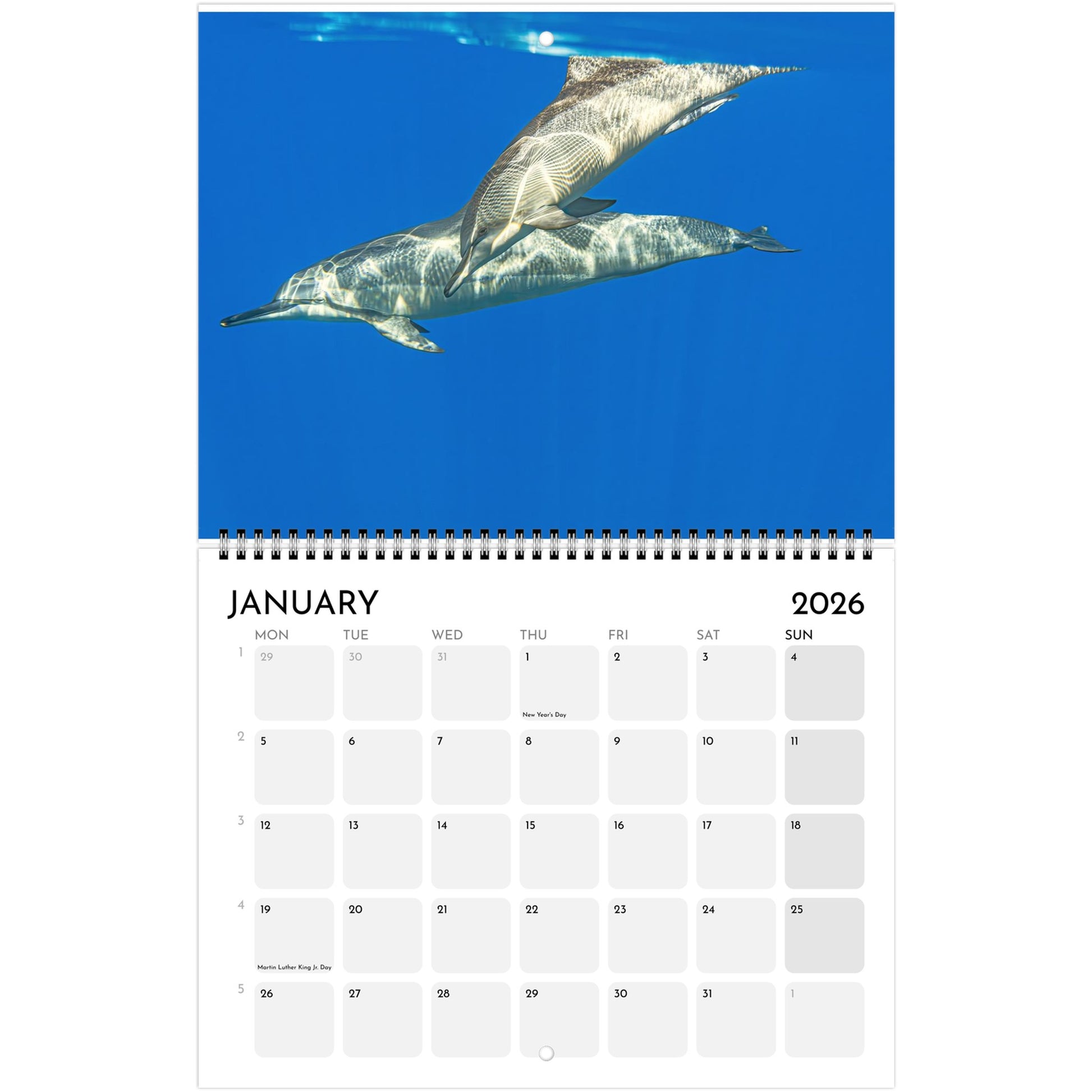 ba5a0658-2243-49a1-8321-a804c13880f3