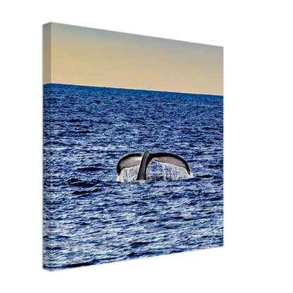 bbbec62a-253a-421a-adaf-03777fe2d081