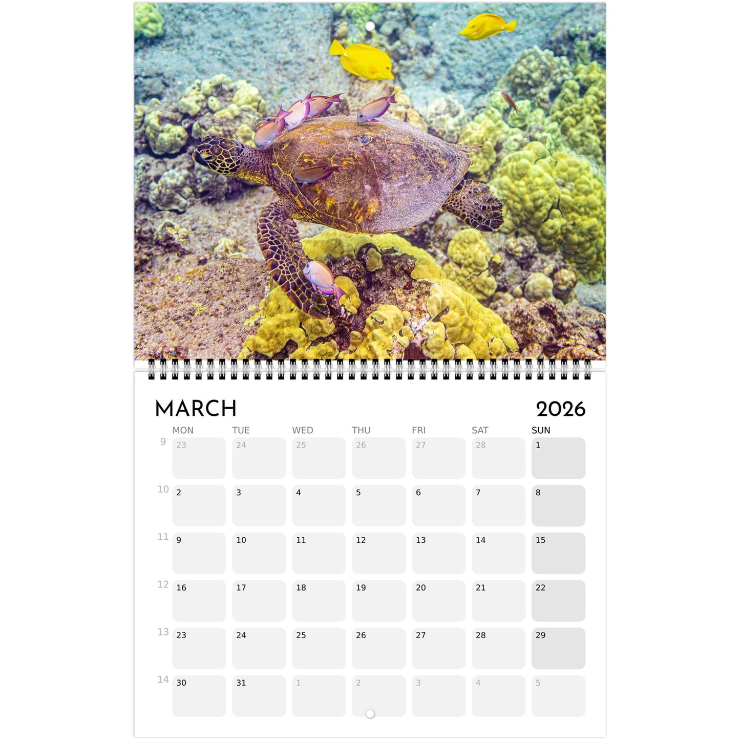 bcc85281-166b-4323-b902-8925e0b76968