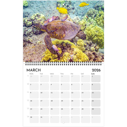 bcc85281-166b-4323-b902-8925e0b76968