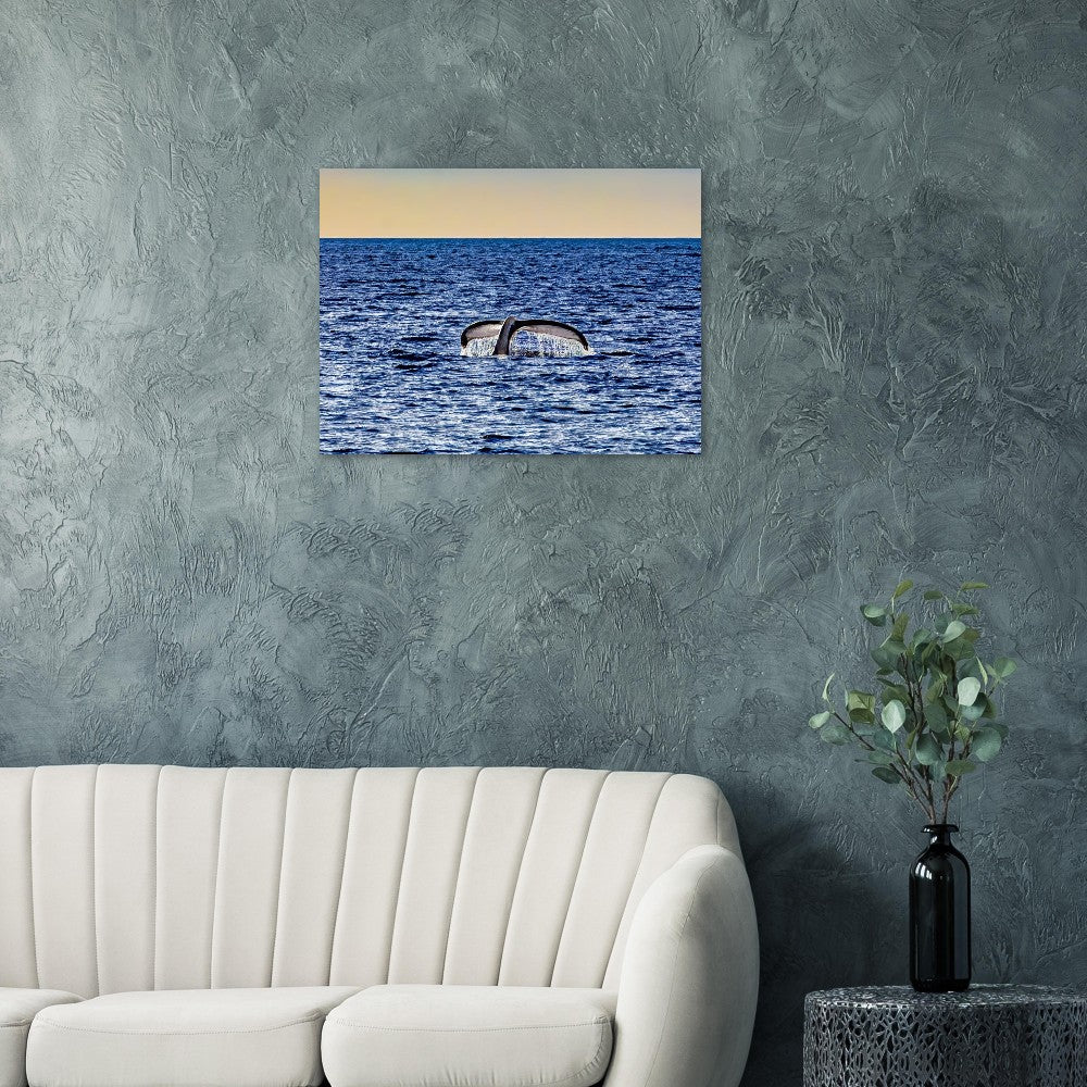 c031ccd0-3417-4d65-b529-af82db14691d