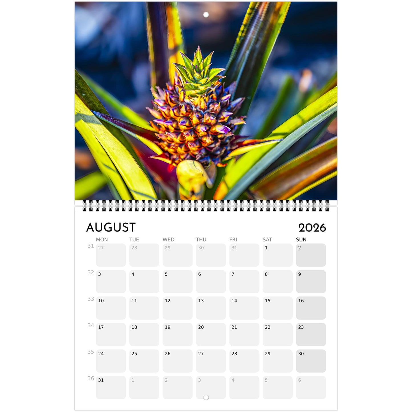 c0423e8b-569c-4ea3-99fe-a357d7887ba9