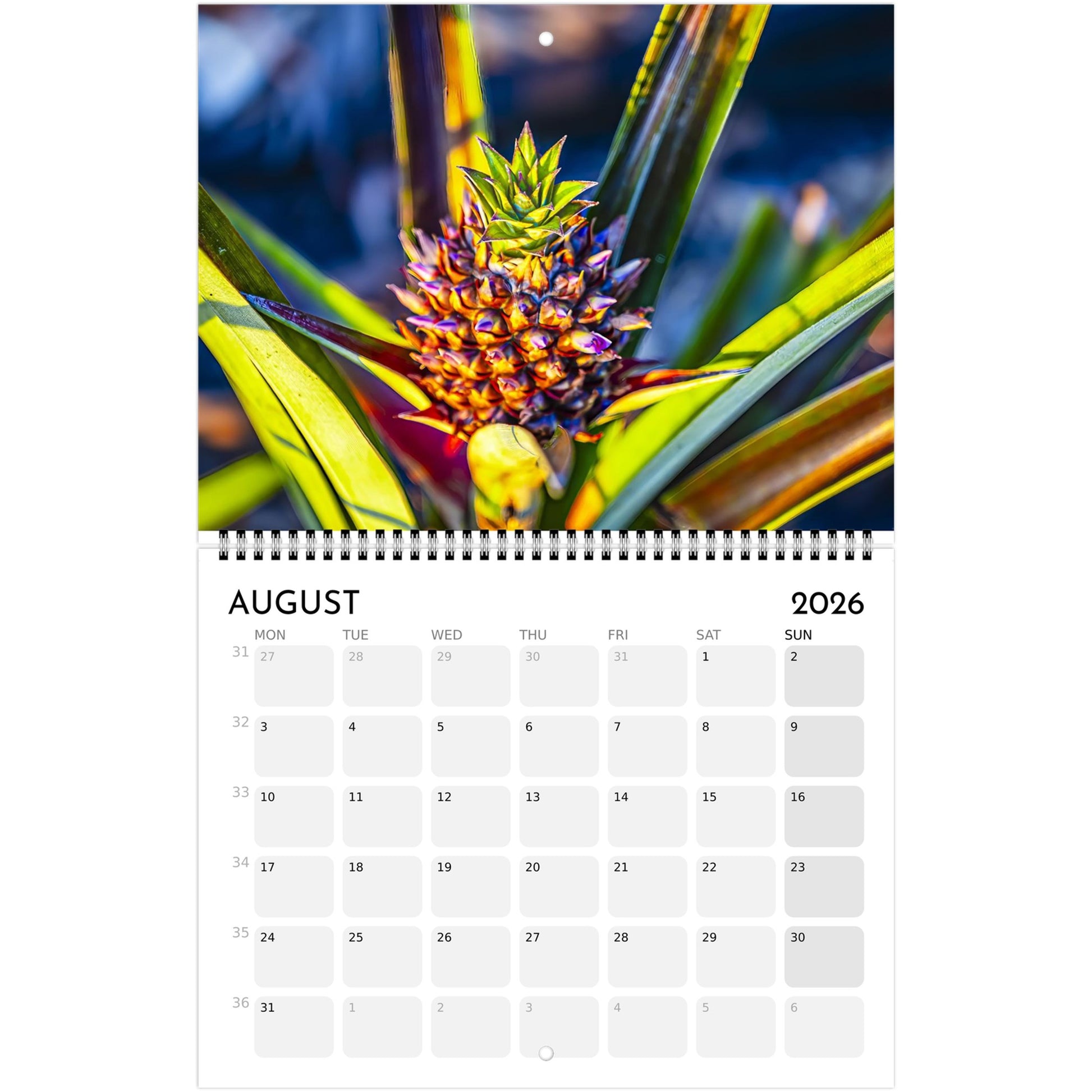 c0423e8b-569c-4ea3-99fe-a357d7887ba9