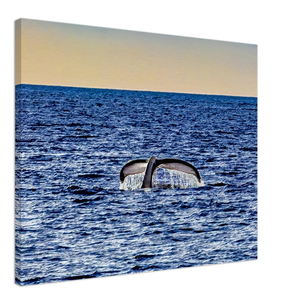 c15a993c-26ac-47b0-a5df-9d98c40f8848