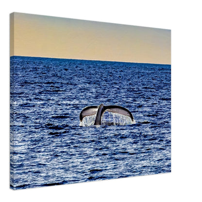 c15a993c-26ac-47b0-a5df-9d98c40f8848