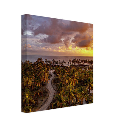 c2a2a3aa-959c-484b-9051-8ccdca4c5a6b